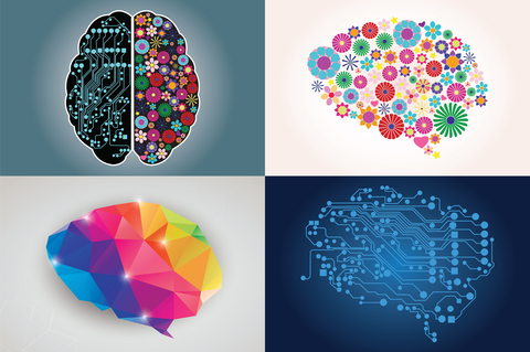 Illustrated Picture of Brain