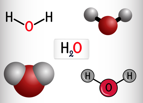 Water Molecules