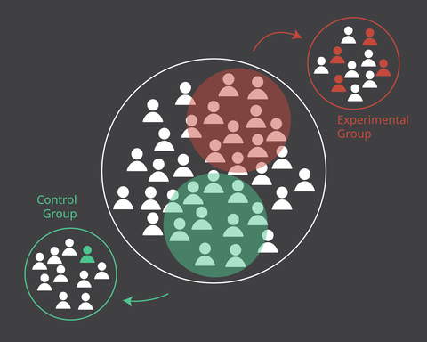 Picture of Control and Experimental Groups