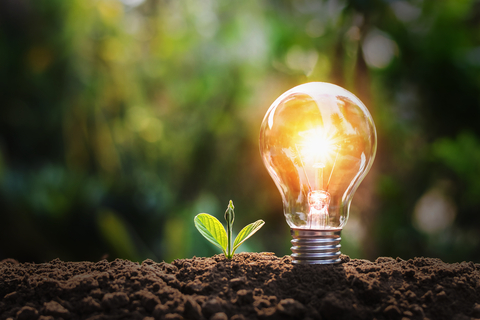 Picture of Lightbulb