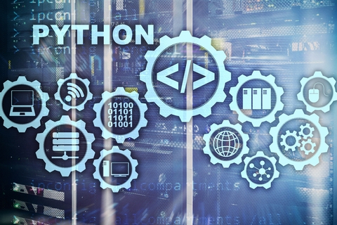 Python Icon