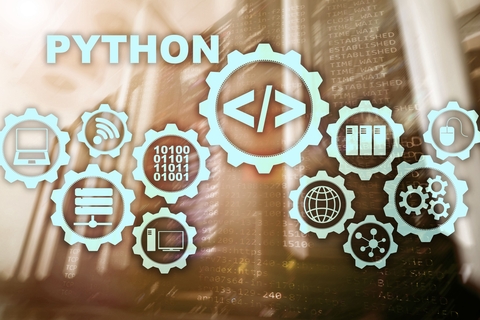 Python Icon